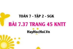 Bài 7.37 trang 45 Toán 7 Tập 2 Kết nối tri thức: Rút gọn biểu thức đa thức